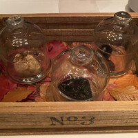 Terres de Truffes, Tokyo - 