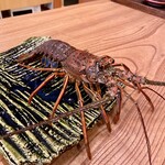 柚木元 - 脱出中