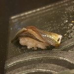 鮨 八や - 七尾湾のコハダ