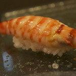 鮨 八や - 七尾湾のサイマキエビ（小型の車海老）