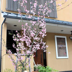 食彩工房 ムッシュMOIZUMI - 玄関脇の花街道