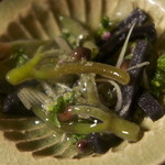 しのはら - アップ