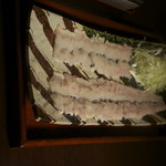 しのはら - 韓国産と日本産の鱧