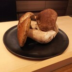 イル アオヤマ - ●ポルチーニ