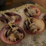 魚菜料理 縄屋 - 天然の鳥貝
