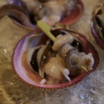 魚菜料理 縄屋 - このまま焼くのかな？