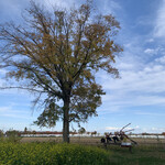 八紘学園 農産物直売所 - 