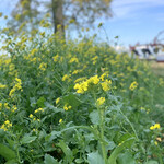 八紘学園 農産物直売所 - 