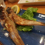 くつろぎ亭ひこべえ  - ハタハタ