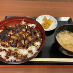 Nagara Gawa Sabisu Eria Kudari Sen - 味噌かつ丼