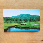 按田餃子 - フォトグラファーのパートナーさんとアイデアを出し合って店作り