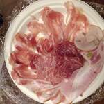 サルメリアロッキュー - 