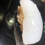 五反田鮨 SUSHI TOKYO 81 - 