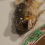 柳家 - 顔アップ