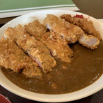 畑の中のレストラン キタノモシリ - 豚カツカレー