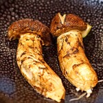 柳家 - 岐阜県中津川産の松茸