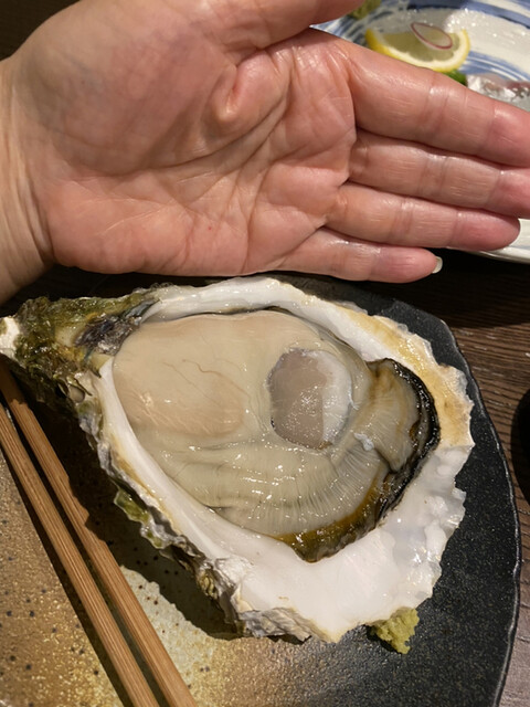 とろび 観光通 居酒屋 食べログ とろび 観光通 居酒屋 食べログ
