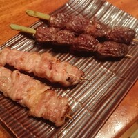 鳥ばか一代 - 