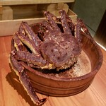 かにじぇんぬ 北新地 - 