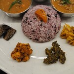 Curry Spice Gelateria KALPASI - 