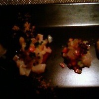 オッジ ダルマット 西麻布店 - 魚介の前菜