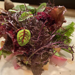 パッソ・ア・パッソ - 