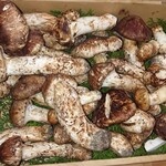 新日本料理 神也 - 