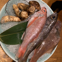 泉岳寺門前 紋屋 - 