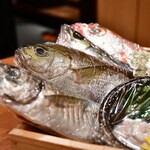 淡路島と喰らえ - 本日の仕入れ│お魚たち：イサキ、鰺、カマス、のどぐろなど