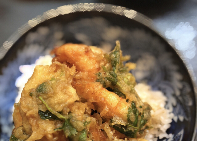 天富士 志茂 天ぷら 食べログ 天富士 志茂 天ぷら 食べログ