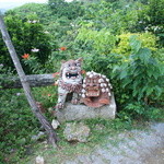 花人逢 - 庭のシーサー１