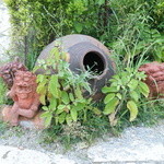 花人逢 - 庭のシーサー２