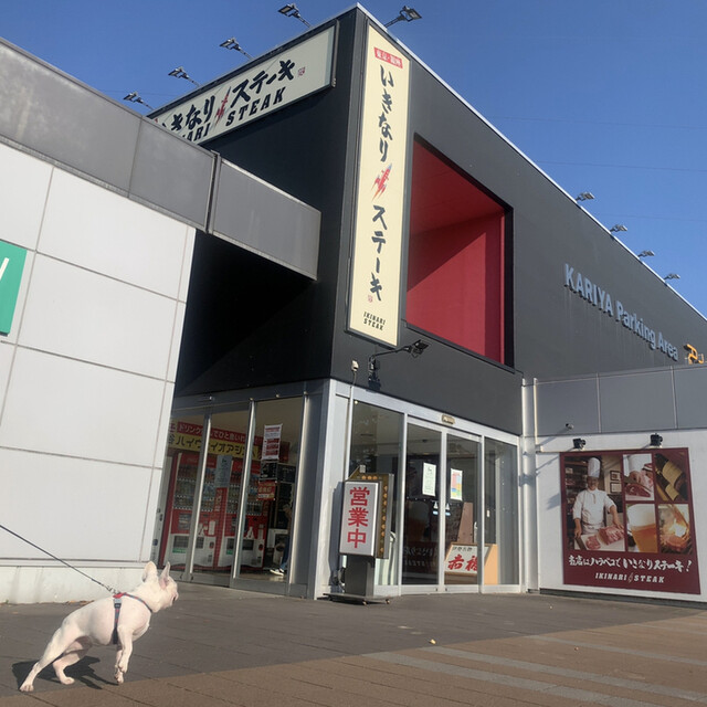 いきなりステーキ 刈谷名鉄オアシス店 富士松 ステーキ 食べログ いきなりステーキ 刈谷名鉄オアシス店 富士松 ステーキ 食べログ