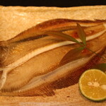 季節料理 よし野 - ヤナギカレイ