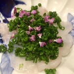 鳥田中 - 七尾の天然虎河豚登場！毎度驚いてますが今日も驚きました（笑）