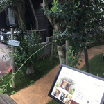 閑静な住宅地に建つ瀟洒な洋館にて執事 バトラー 付きっきりで束の間のご主人様気分 牛込中町 シャブラン神楽坂さんのアフタヌーンティー 3 600円 税抜 By あてるい シャブラン神楽坂 Chatblanc 神楽坂 牛込神楽坂 洋食 欧風料理 その他 食べログ