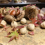 富小路 やま岸 - 