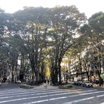 仙台中華そば 銘店嘉一 - 定禅寺通から北へ徒歩3分位