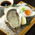 Sumibi Yakiniku Tsuruchou - 夏と冬に個数限定販売される的矢産の生牡蠣！