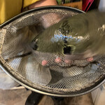 いちえんそう - 