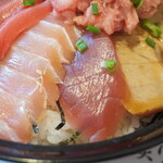 清水港　みなみ  - キハダ鮪ハラモ・鮪たたき・鮪漬け炙り(多分)UP