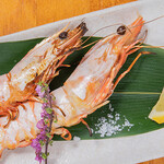 鮨割烹　ぎんえん - 車エビ