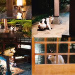 料亭 大宮 一の家 - 