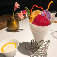 レフェルヴェソンス - 