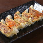 spicy Gyoza / Dumpling