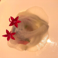 マンサルヴァ - 