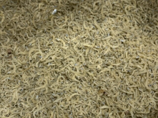 磯部加工組合 &ndash; 相馬（その他） | 福島県の地元食材を活かす加工店