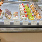 オクシタニアル - ショーケース