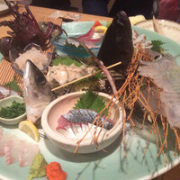 会員制 寿司割烹鷹勝 博多総本店 -  会員制 寿司割烹鷹勝 博多総本店 -