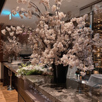 THE SAKURA DINING　TOKYO - 